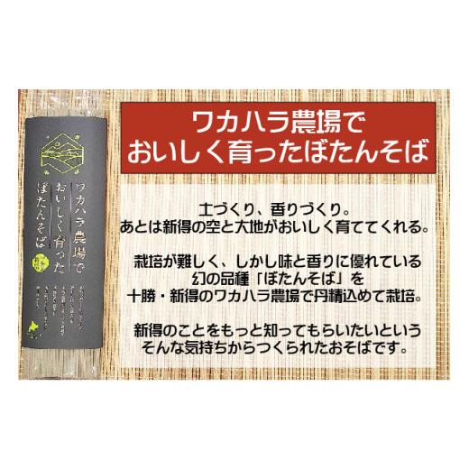 ふるさと納税 北海道 新得町 T-2501　新得のそば食べ比べセット