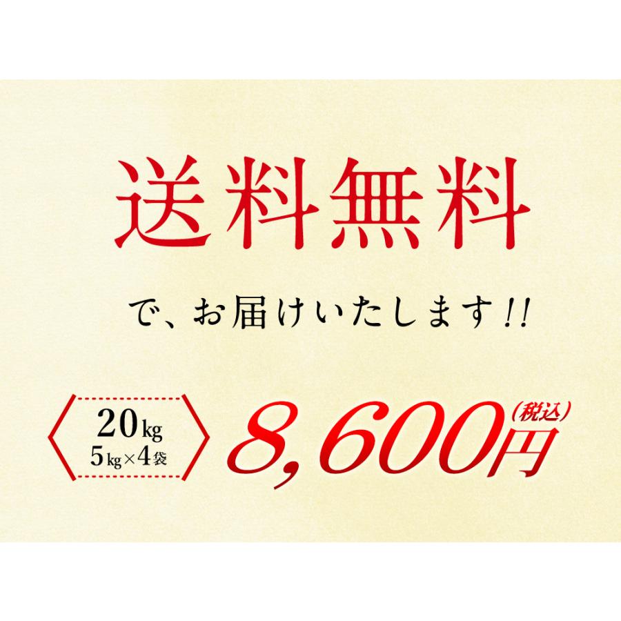 新米 無洗米 北海道産ゆめぴりか20kg（5kg×4袋）  送料無料 令和5年度産 お米 20kg 北海道 無洗米（北海道・沖縄別途送料）（配達日・時間指定は不可）