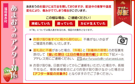 3W12 　博多あまおう 約1,080ｇ (約270ｇ×4パック)