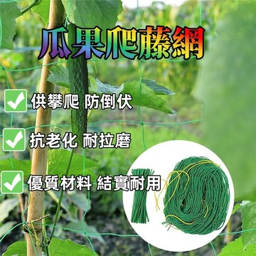 植物爬藤網  園藝網  瓜果爬藤網  搭架網 網子塑膠網 圍籬網  尼龍網 防蛇網 防鴿網 爬藤 網室 網子 防鳥網
