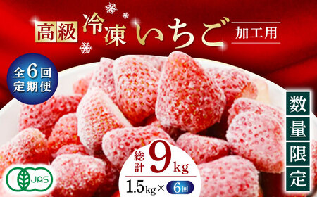 高級 冷凍  いちご 加工用 約1.5kg 果物 フルーツ イチゴ いちご 苺 熊本県 特産品 オーガニック 有機 恋みのり 冷凍 いちご 冷凍いちご 定期 [ZBB016]