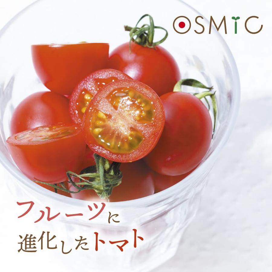 高糖度フルーツトマト 笠岡市 野菜 高糖度トマト OSMICトマト mini PREMIUM 500g 化粧箱入