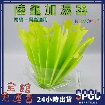 【全館免運費●思皮特】 陸龜加濕器 植物造型 綠色 加濕 盆栽 加濕器 保濕 兩棲 爬蟲 陸龜 守宮 蜥蜴 角蛙 蛇