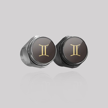 雙子座/汽機車輪胎氣嘴蓋 鋁合金 氣嘴頭 輪胎風嘴 汽嘴蓋 汽嘴帽 SunBrother孫氏兄弟