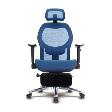 LOGIS 阿爾邦雙網人體工學椅(全網椅 辦公椅 電腦椅)T85CSZ藍