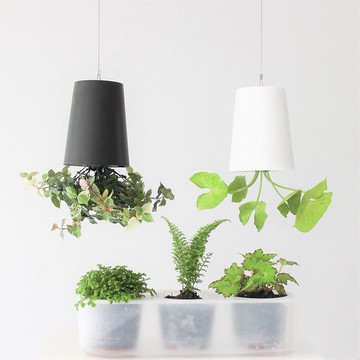 天空/耕作之盆 自動汲水花器 ２+１入組