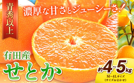 一度は食べていただきたい! 有田産のせとか 青秀以上 約4～5kg （サイズおまかせ） 厳選館 《2024年2月下旬-4月上旬頃より順次出荷》 和歌山県 日高川町 せとか 柑橘 有田産