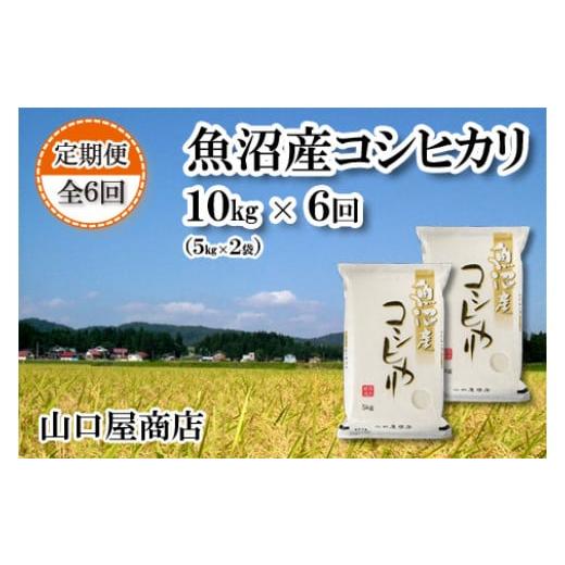 ふるさと納税 新潟県 十日町市 ★令和5年産★魚沼産コシヒカリ 5kg×2袋