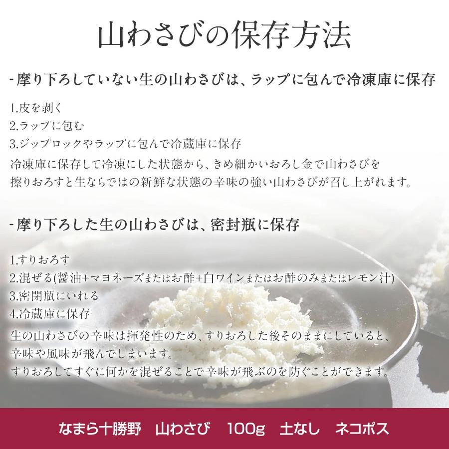 山わさび (生) 北海道産 100g 西洋わさび ホースラディッシュ 極上の風味を味わう生のやまわさび メール便 送料無料