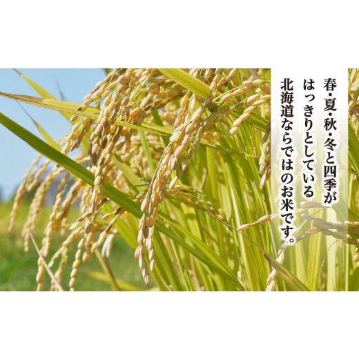 ふるさと納税 北海道 旭川市 ＼令和5年産／＜定期便6ヶ月＞”無洗米”最高級米をご家庭で！ゆめぴりか（5kg×6回）