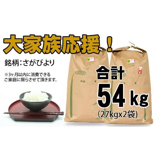 ふるさと納税 佐賀県 小城市  佐賀ブランド米「さがびより」54kg（白米）27kg×2 令和5年度産