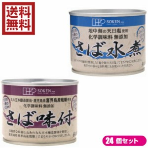 鯖 水煮 缶 創健社 さば缶 選べる２４個セット 全２種