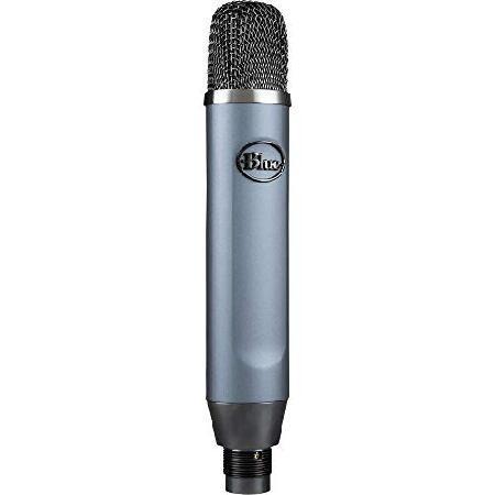 Blue Ember Cardioid Condenser Microphone with Blue Compass Premium Tube-Style Boom Arm Bundle（並行輸入品）