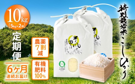 米 定期便 ≪6ヶ月連続お届け≫ 特別栽培米 コシヒカリ 10kg × 6回 令和5年産 新米 福井県産 [e10-j002]