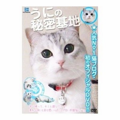 Dvd うにの秘密基地 甘い部屋猫ライフ 猫ブログ人気ｎｏ １ 通販 Lineポイント最大0 5 Get Lineショッピング