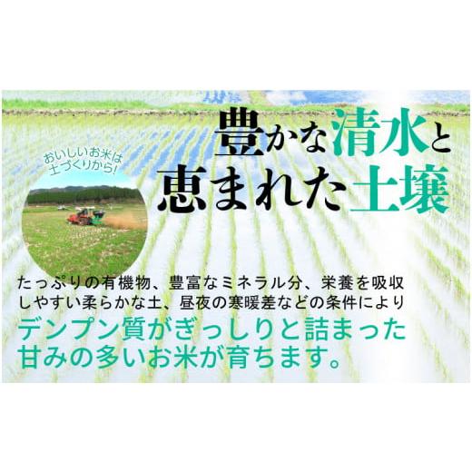 ふるさと納税 福井県 越前町 [e35-a004_01] 減農薬米 こしひかり 5kg 令和6年 福井県産（白米）