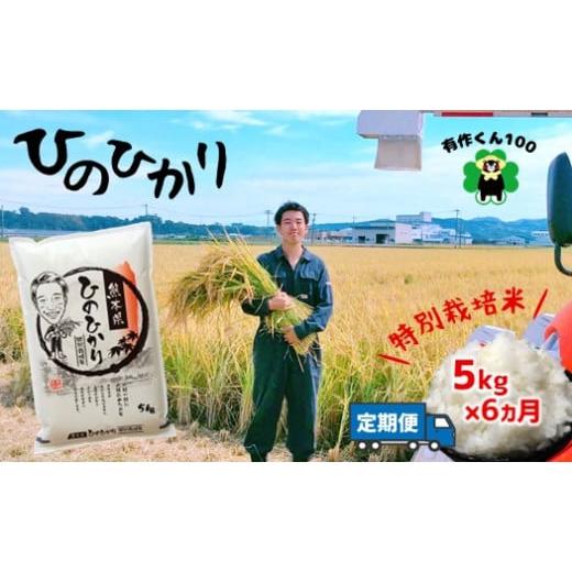 ふるさと納税 熊本県 玉名市 特別栽培米 「ひのひかり」（5kg×6ヶ月定期）熊本玉名産