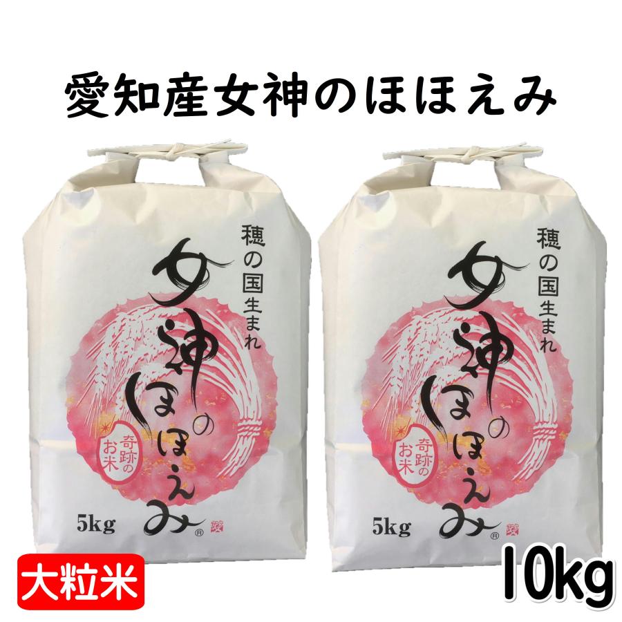 女神のほほえみ 愛知産 10kg 令和5年産 大粒 白米 5kg×2袋