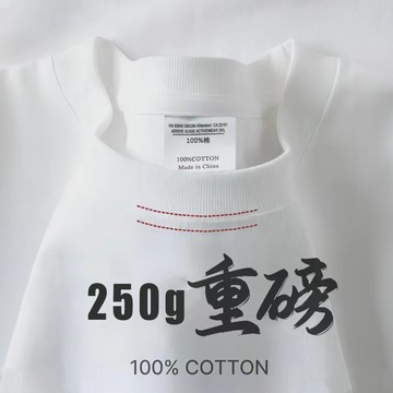 【現貨立出】250G重磅短袖 100% 純棉 短袖上衣 女生 t恤 淨版素T 純棉上衣 寬鬆t恤 棉t 重磅短t素面