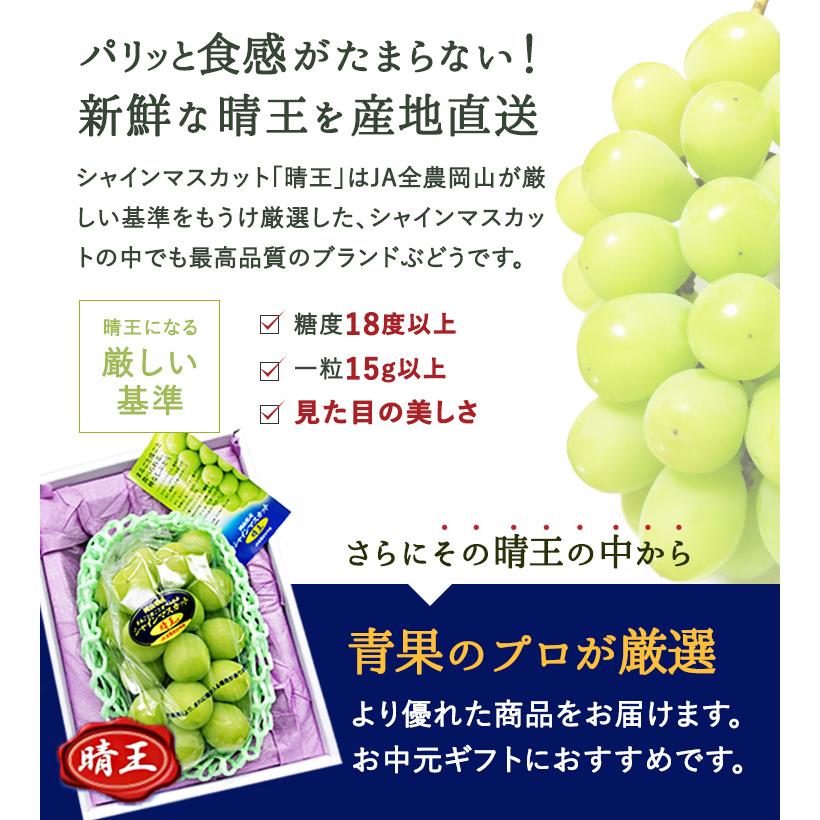 岡山県産 シャインマスカット晴王 1房 800g 1房 化粧箱入