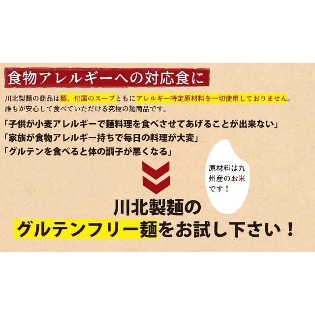 グルテンフリー そうめん ちょっと太いくせに素麺 生麺 120g ×6食分 小麦粉不使用 九州産米粉使用 常温保存 6人前