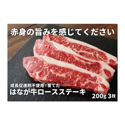 ふるさと納税 愛媛県 西予市 熟成肉 はなが牛ロースステーキ