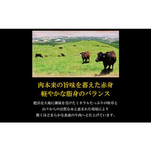 ふるさと納税 長崎県 雲仙市 雲仙牛(A5ランク)サーロインステーキ(200g×3ケ)