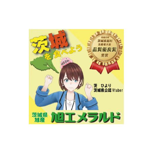 ふるさと納税 茨城県 鉾田市 子メロン（摘果メロン）5kg 2023／10／1〜