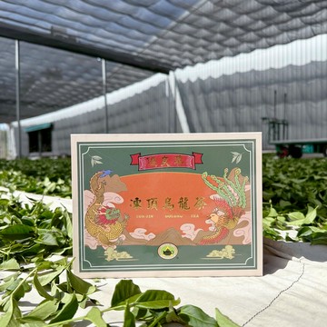 【采樂茶業】2025年 南投縣茶商公會比賽茶 四季春冬片&凍頂烏龍茶 優良獎｜熱騰騰上市！！｜ 台灣茶