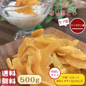 フィリピン産 セブ島 マンゴー 切り落とし 500g メール便 送料無料 不揃い ヨーグルト※出荷納期案内画像を必ずご確認ください