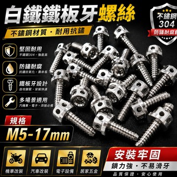 【叫小賀】白鐵螺絲 鐵板牙 自攻牙螺絲 M5x17mm 車殼螺絲 內外六角 白鐵304 M5自攻牙螺絲 白鐵 鐵板牙螺絲