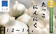 日本一たっこにんにく・12～14玉（青森県田子町産にんにくL～2L）