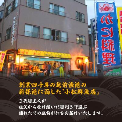 ふるさと納税 越前町 地元鮮魚店厳選  ≪浜茹で≫ 足折れ 越前がに 大サイズ 1杯