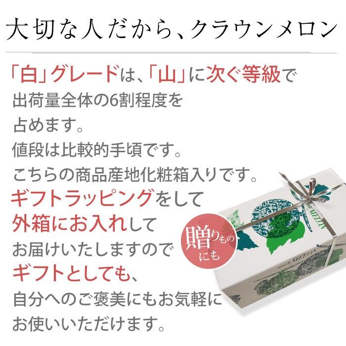 メロン 静岡県産 クラウンメロン 2個 等級 ：白 2.6kg以上 化粧箱入