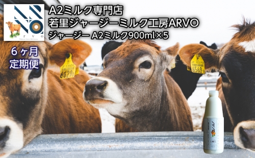 中谷牧場 ジャージーA2ミルク　900ml×5本