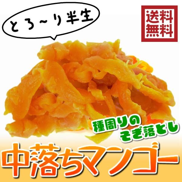 ドライーマンゴー 半生ドライフルーツ 500g 中落ちのジューシーマンゴー 送料無料（中落ちマンゴー500g）セブ産 送料無料 ソフト チャック袋 訳あり