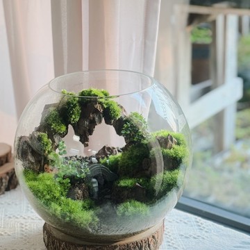 【一物一拍】一方山水:桌上的微縮森林 苔蘚生態缸(A)