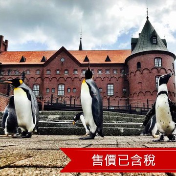 ITF優惠｜北海道青池.旭川動物園.小樽漫遊.五星萬怡.羊駝牧場.三大蟹吃到飽.二晚溫泉.六日｜【高雄直飛】-SJP07CCK43