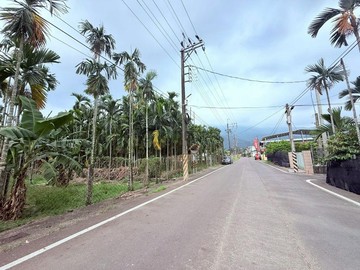 萬巒鬧區 大坪數好規劃 臨路方正農地｜屏東縣萬巒鄉萬金段