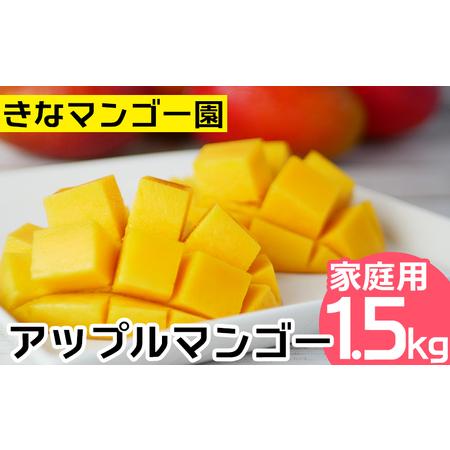 ふるさと納税 2024年発送アップルマンゴー　家庭用1.5kg 先行予約 沖縄県名護市