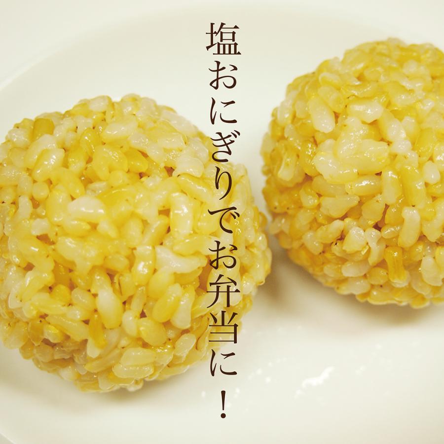 玄米　ゆびっきりげんまい 450g　浸水5分　炊飯器で炊ける玄米