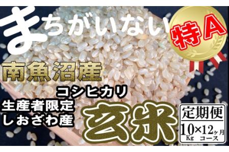 玄米 生産者限定 南魚沼しおざわ産コシヒカリ10Kg×12ヶ月