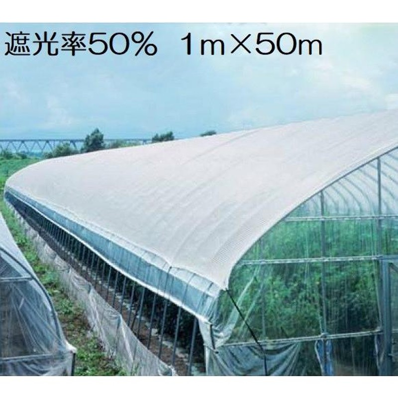 遮光ネット 白 1m×50m 遮光率50% 日よけネット 日除けネット 農業用ネット 農業用遮光ネット 農業用 農業 園芸 遮光 |  LINEブランドカタログ