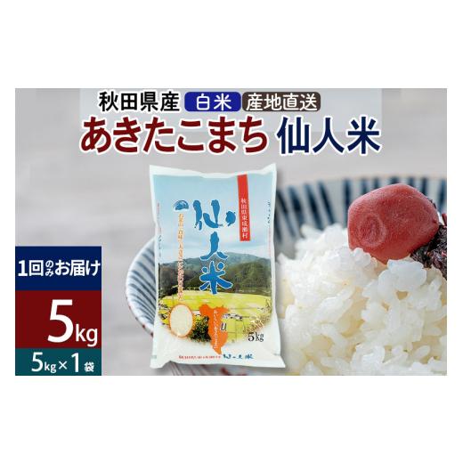 ふるさと納税 秋田県 東成瀬村 新米 令和5年産 あきたこまち 秋田県産「仙人米」白米 5kg（5kg×1袋）