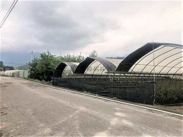 南投埔里市中心雙面臨路大塊農地｜南投縣埔里鎮安湳段