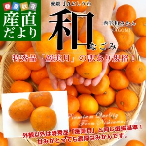 愛媛県より産地直送 JAにしうわ みなの共選 西宇和みかん 和 (なごみ) SからSSサイズ 5キロ(60玉から80玉前後) 送料無料 蜜柑 ミカン