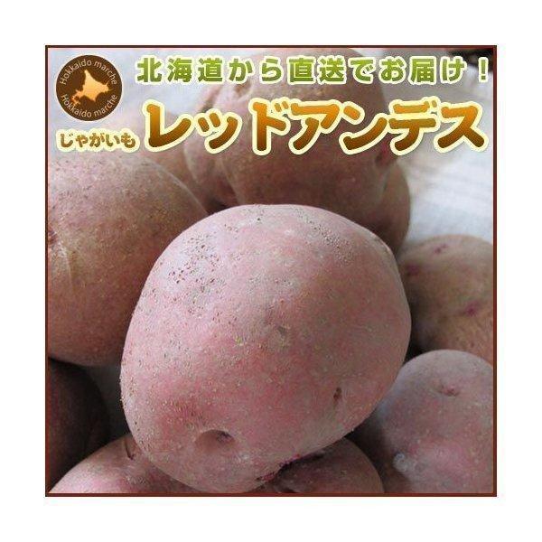 じゃがいも ジャガイモ レッドアンデス 10kg 正品・LM L 2L混 （新じゃがいも） 野菜 北海道産 お礼 御祝 産直 内祝 ジャガイモ