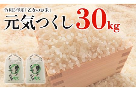 令和5年産「乙女のお米」元気つくし　３０kg