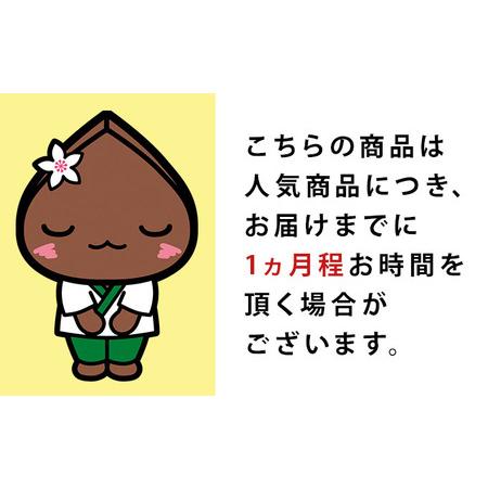 ふるさと納税 凍結『生』二八そば ちょっと少なめ120g×10人前 北海道幌加内 北海道幌加内町