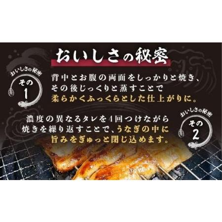 ふるさと納税 くすだ屋の鰻2尾_170g×2 鹿児島県大崎町